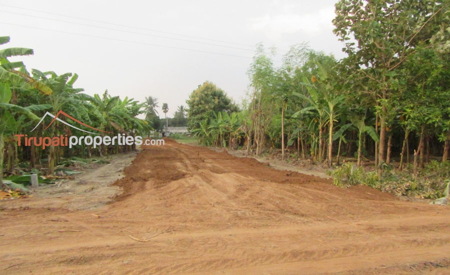 Low Budget Plots and Below 45 Lacs Houses for Sale Near Chandragiri Fort Junction